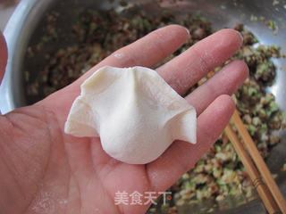传统经典---白菜肉水饺的做法步骤:12