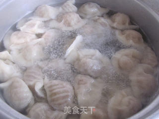 传统经典---白菜肉水饺的做法步骤:14