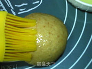 麸皮全麦面包的做法步骤：11
