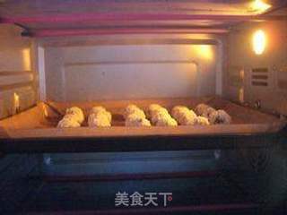 蔓越莓椰蓉球的做法步骤:11