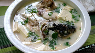 一鱼两吃之鱼头豆腐汤的做法步骤:12