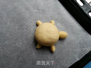 小乌龟肉松面包的做法步骤:10