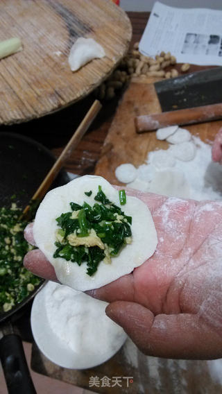 鸡蛋菠菜馅饺子的做法步骤:5