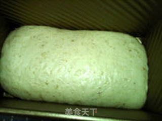 燕麦汤种面包的做法步骤:16