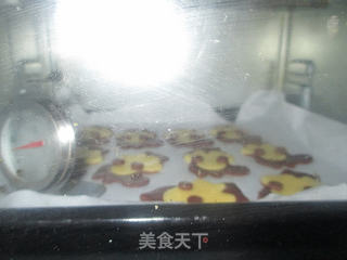 抱果仁的小熊饼干,会报果仁的小松鼠饼干的做法步骤:14
