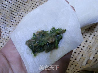 荠菜小馄饨的做法步骤:9