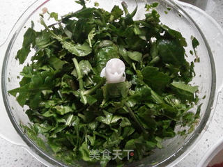 荠菜小馄饨的做法步骤:5