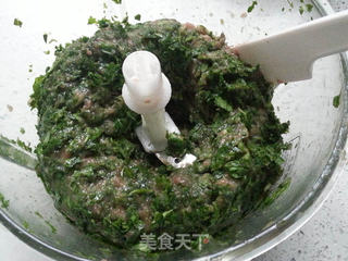 荠菜小馄饨的做法步骤:7