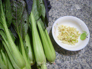 蒜香紫青菜的做法步骤：1
