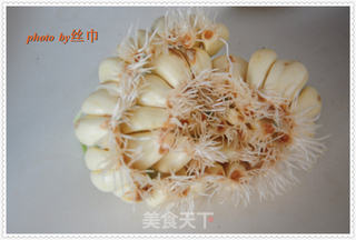 发芽大蒜的种法的做法步骤:8