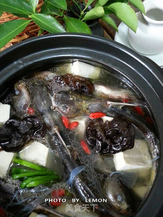黄颡鱼炖豆腐的做法步骤:17