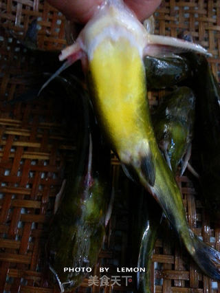 黄颡鱼炖豆腐的做法步骤:5