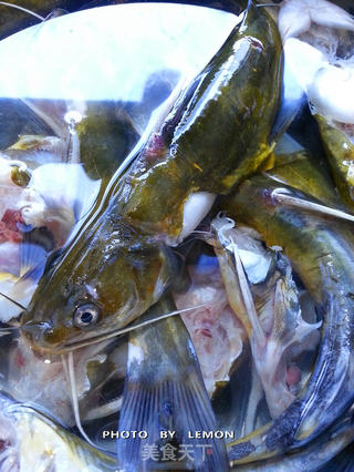 黄颡鱼炖豆腐的做法步骤:7