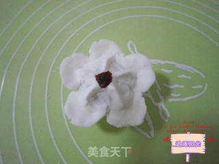 蔓越莓梅花蒸饺的做法步骤:7