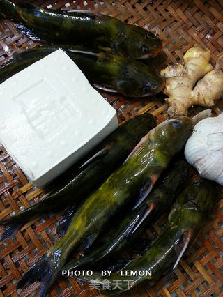 黄颡鱼炖豆腐的做法步骤:3