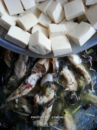 黄颡鱼炖豆腐的做法步骤:12
