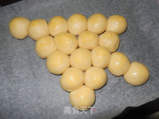 圣诞树面包的做法步骤:10