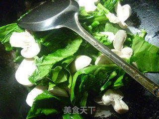 蘑菇炒油菜蕻的做法步骤：5