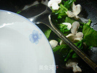 蘑菇炒油菜蕻的做法步骤：6