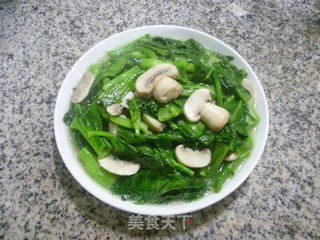 蘑菇炒油菜蕻的做法步骤：10