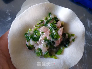 芹菜猪肉饺的做法步骤:9