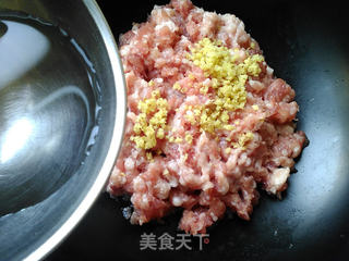 芹菜猪肉饺的做法步骤:2