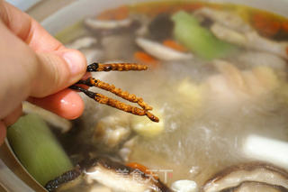 虫草炖土鸡的做法步骤:6