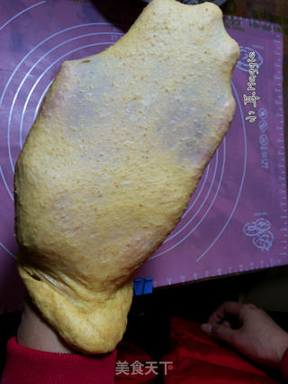 全麦圣诞花环面包(手工揉面)的做法步骤:18