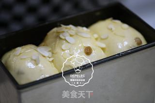 提子土司的做法步骤:8