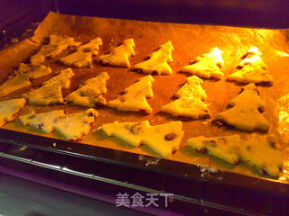 蔓越莓圣诞树饼干的做法步骤:8