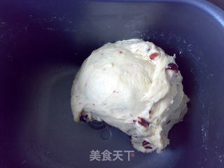 蔓越莓牛奶吐司的做法步骤:6
