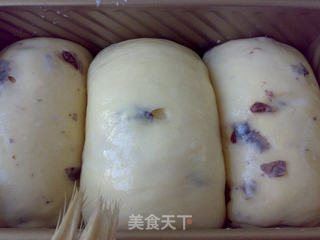蔓越莓牛奶吐司的做法步骤:13