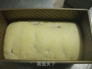 可可双色土司的做法步骤:16