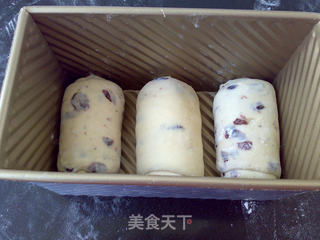 蔓越莓牛奶吐司的做法步骤:12