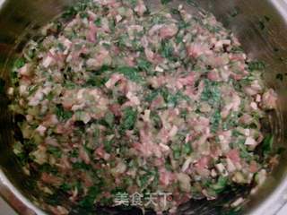 红油芹菜猪肉馅饺子的做法步骤:5