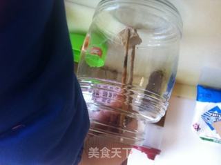 添加成品图 自制豆腐乳的做法步骤：11