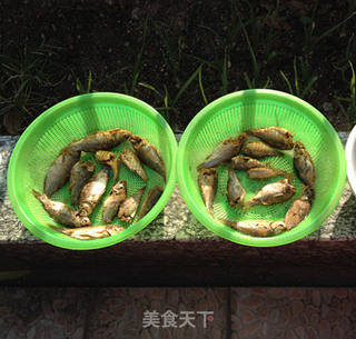 烤河鲫鱼干的做法步骤:2