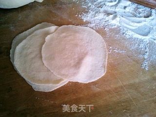 好活不如倒着,好吃不如饺子 ----- DIY萝卜香芹饺的做法步骤:7