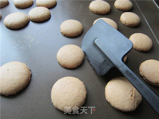 原味马卡龙的做法步骤:14