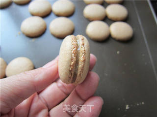 原味马卡龙的做法步骤:16
