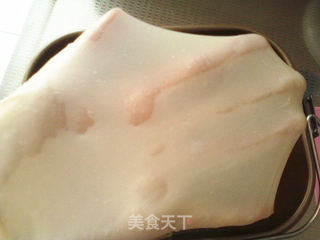 中种奶酥粒辫子包的做法步骤:8
