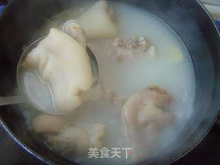 清爽弹滑---蹄花冻的做法步骤:5