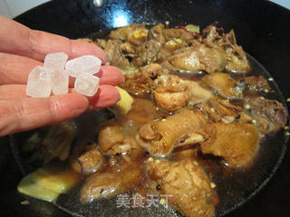 吉庆有余---模仿新疆大盘鸡的做法步骤:9