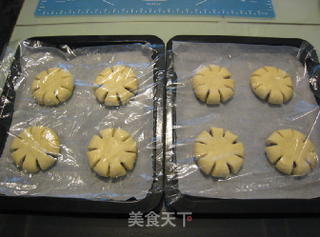 红豆沙面包的做法步骤:18
