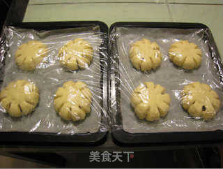 红豆沙面包的做法步骤:19
