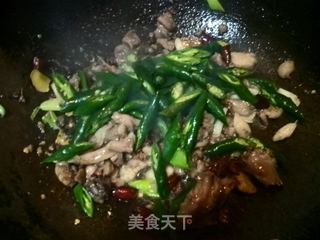 尖椒兔的做法步骤:7