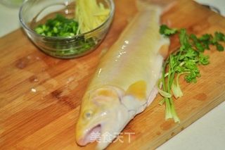 红烧金鳟鱼的做法步骤：1
