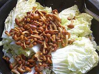 滑子菇炖白菜的做法步骤:5