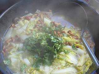 滑子菇炖白菜的做法步骤:6