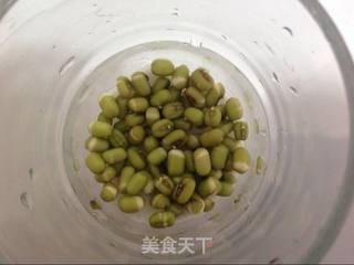 豆你玩-绿豆芽苗菜的做法步骤：1